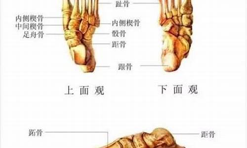 砭骨什么意思啊_砭骨的意思