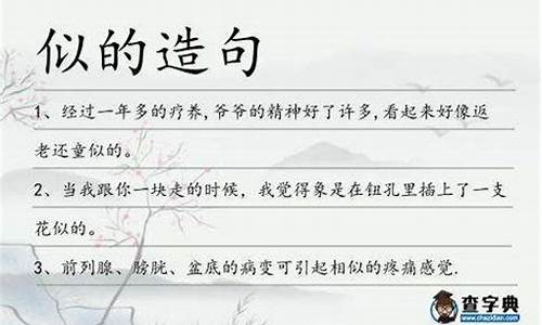 用一丝不苟造句子六年级_用一丝不苟造句子六年级上册