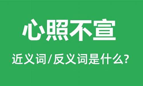 心照不宣造句和意思怎么写_心照不宣造句和意思怎么写的