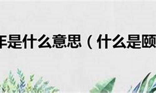 颐享天年打一生肖_颐享天年猜一生肖